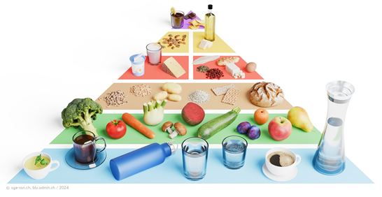 Food Pyramid 2024 Standard Food Pyramid 2024 Standard